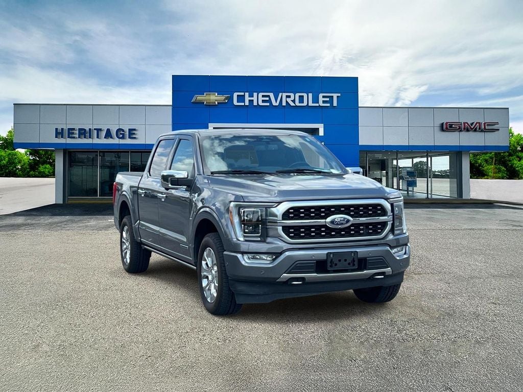2023 Ford F-150 Platinum in Gray — front three-quarter view